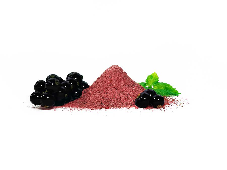597-03_Fruchtpulver-SCHWARZE-JOHANNISBEERE-Johannisbeerpulver